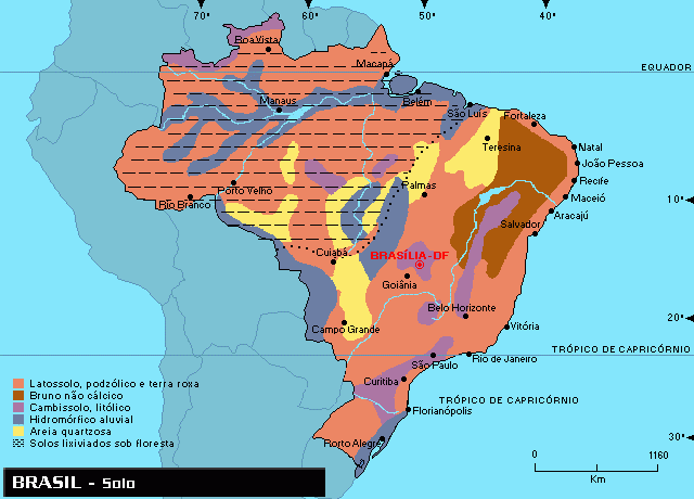 Tipos de solos do Brasil